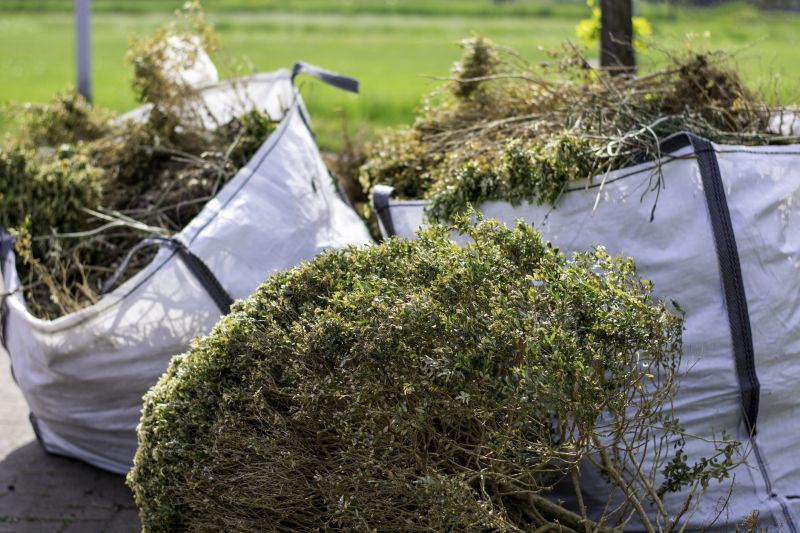 Shed Removal Services Overview