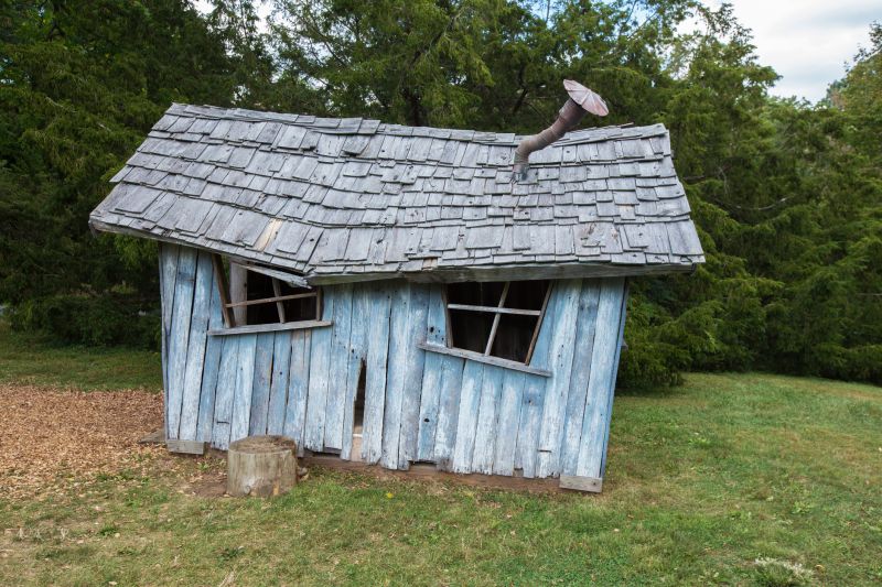 Shed Removal
