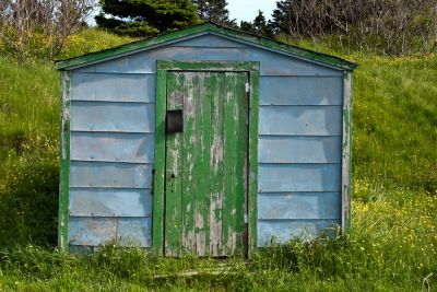 Improve the Appearance of the Yard!